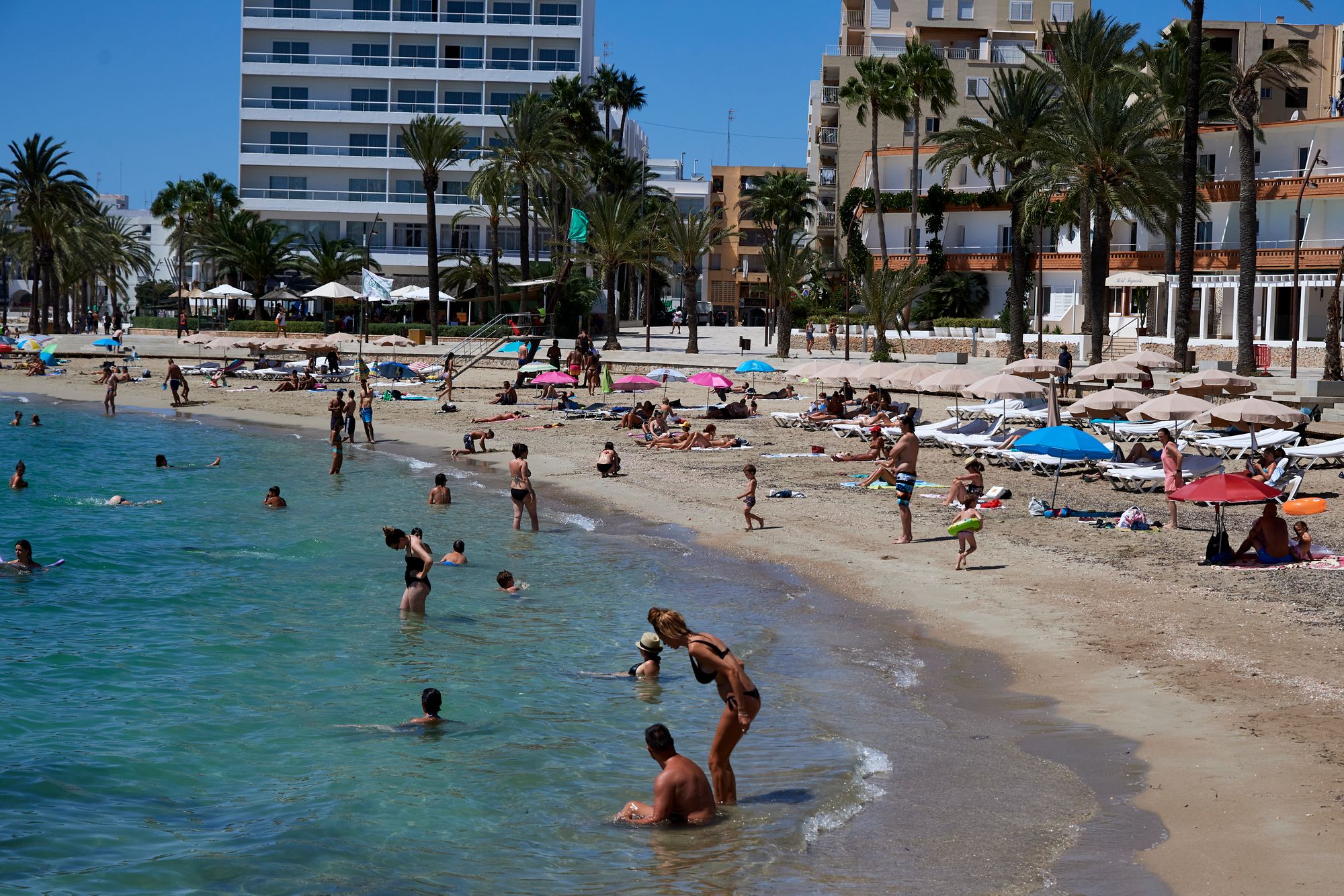 Transport Secretary advises against making summer holiday plans