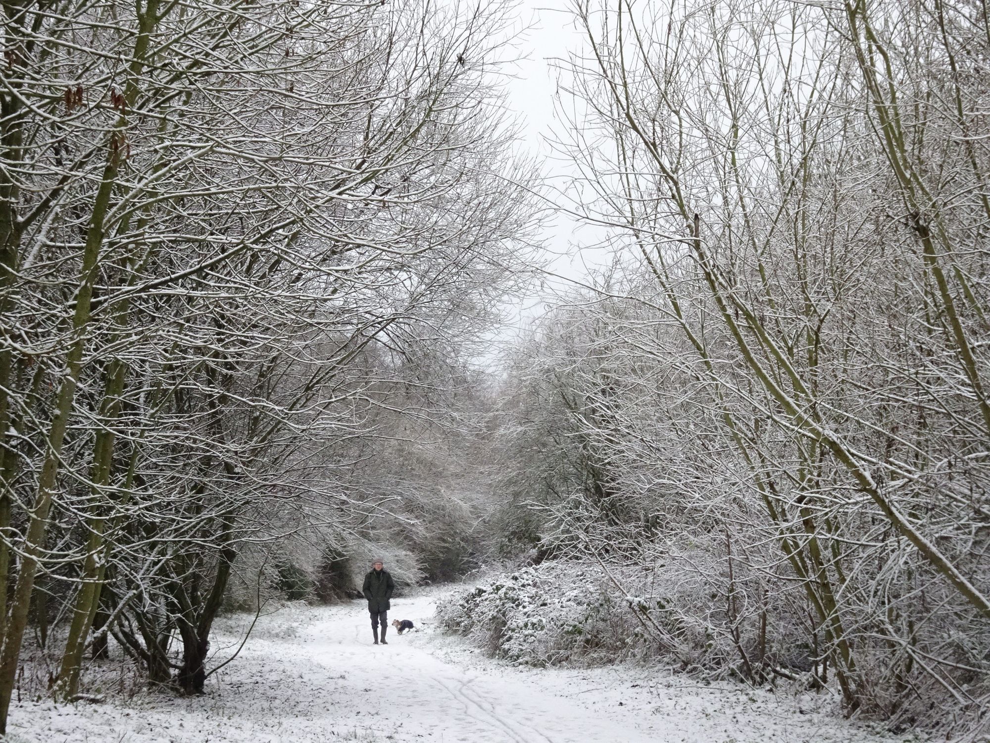 Scene By You: Crewe captured by our Flickr group this week