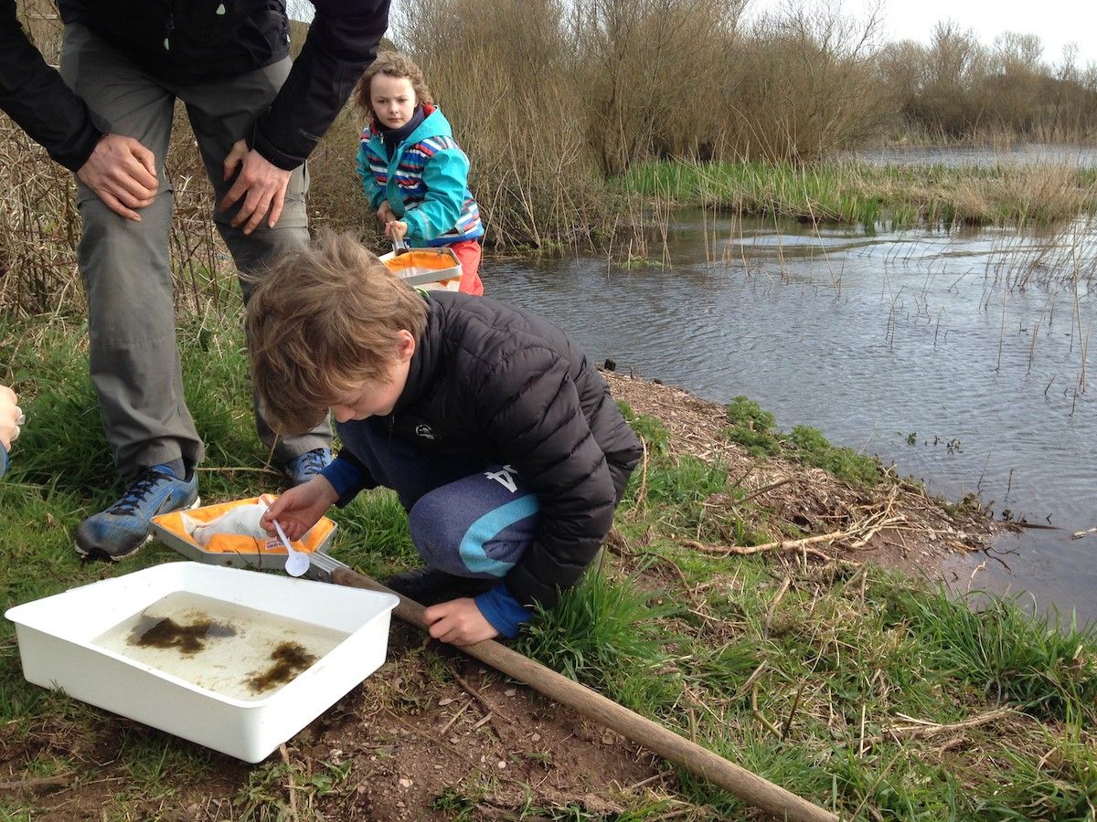 Primary pupils set to benefit from a series of live nature lessons