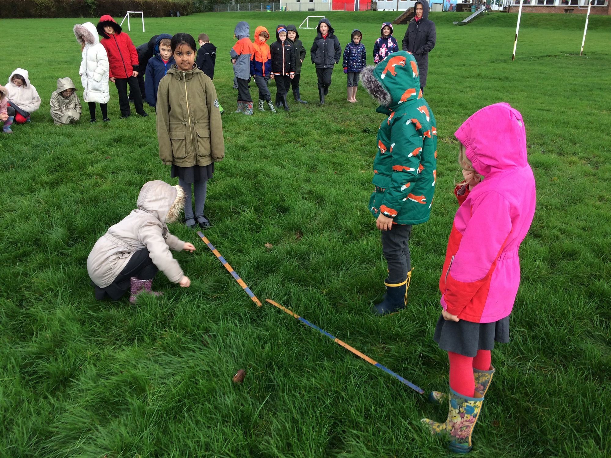 Penarth tree planting scheme begins