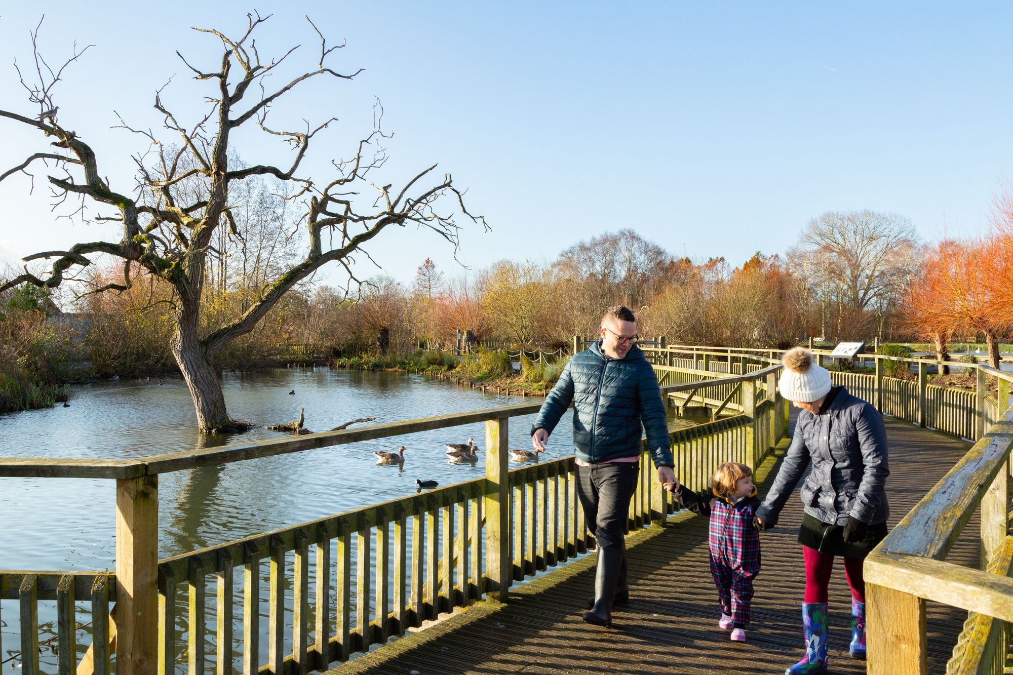 New mental wellness guide helps people connect with wetland nature