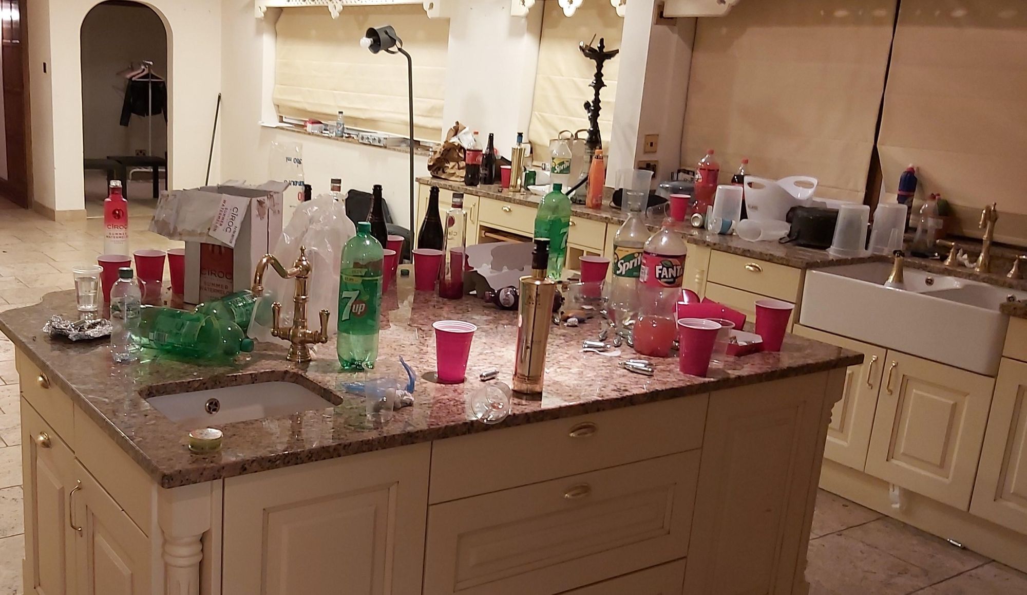 Essex Police fine 18 revellers caught having an illegal house party in a 'clear and blatant breach' of Covid-19 restrictions
