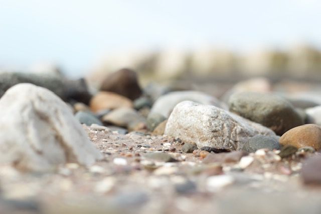 Lane's Lens - March 13: A look across Merseyside through the cameras of local photographers
