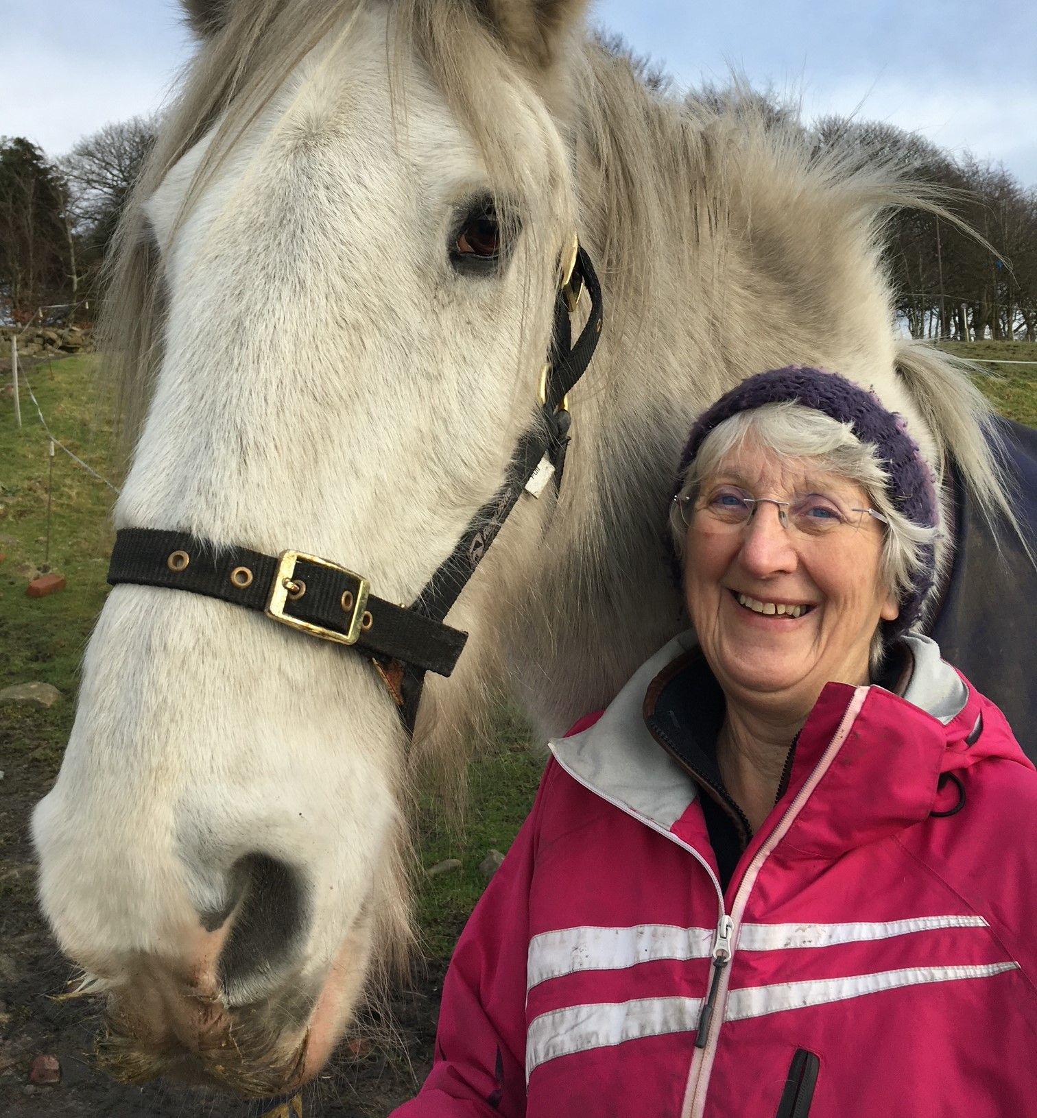 'Please don't put our horses at risk by feeding them' - lockdown walkers warned