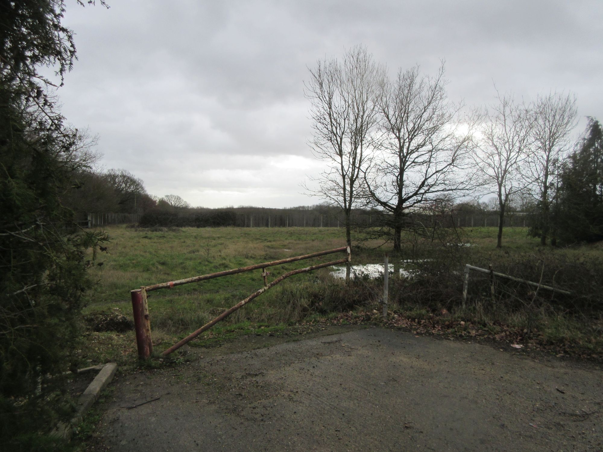 Tiptree Heath FC attempt to raise £10,000 to bring the club back to Tiptree