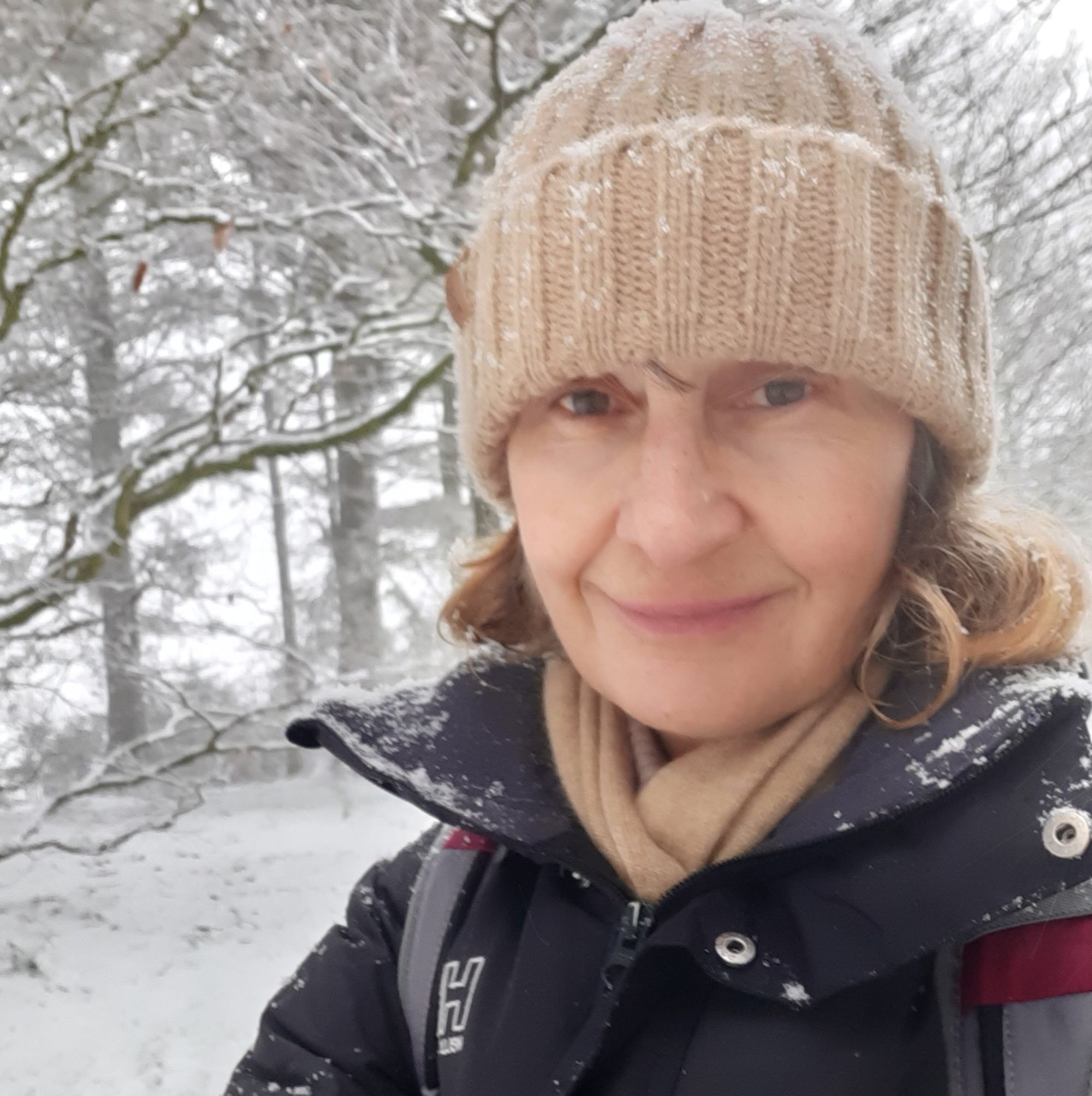 Tree collection campaign's postponement leads fundraisers to 'branch out'