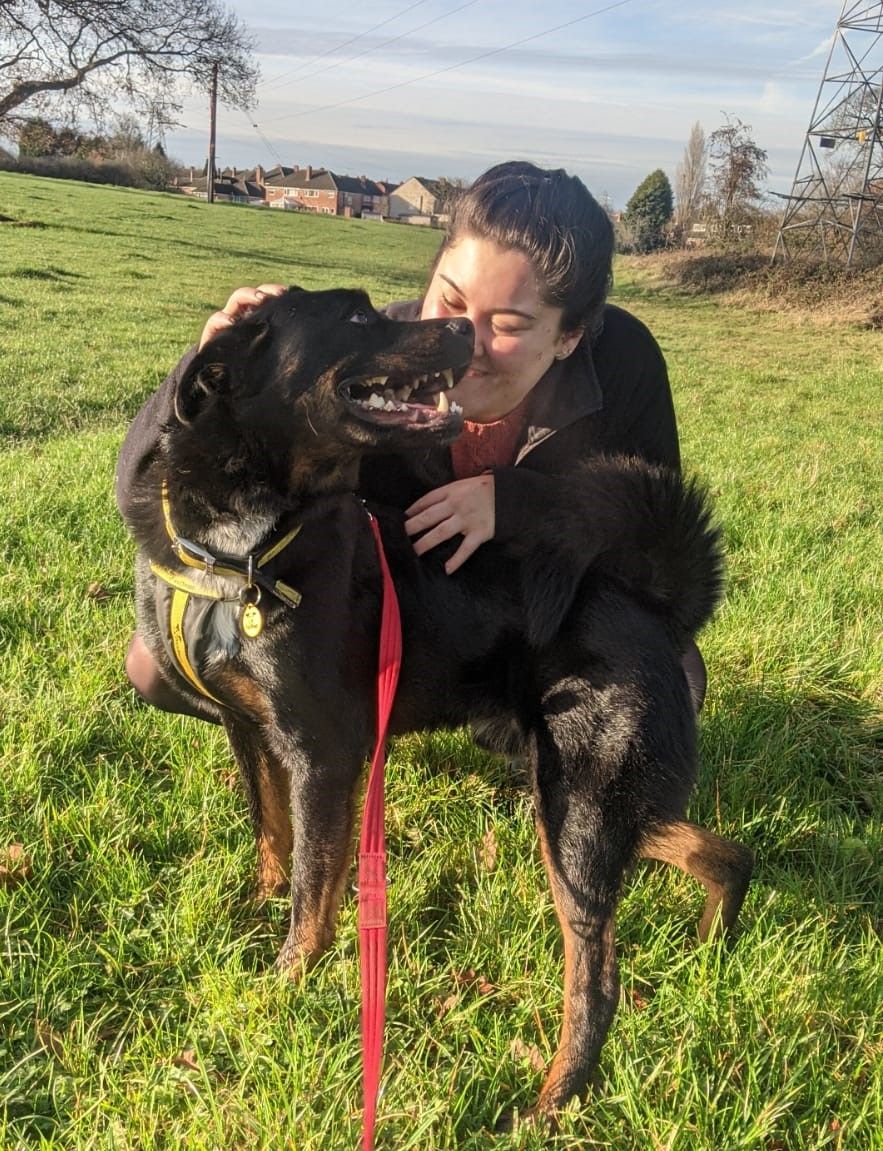 Rescue dog Dan lands on his paws just in time for Valentine's Day