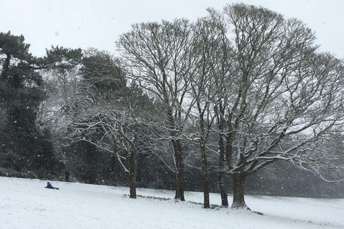 In case you missed it: Five Dover stories this February