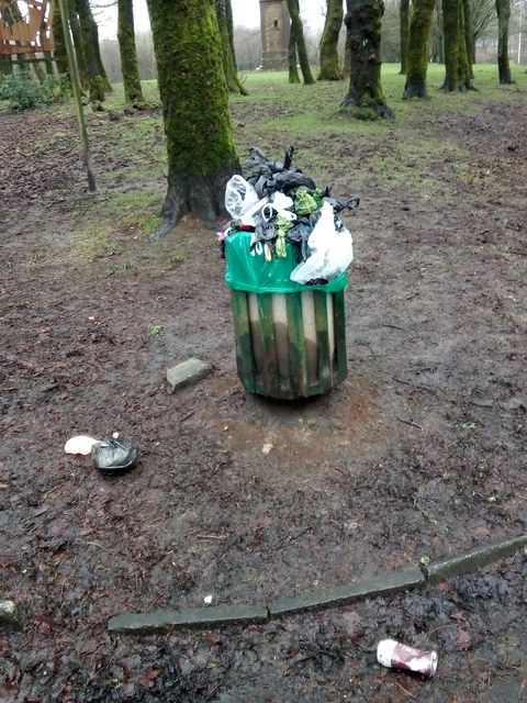 Council explains 'confusion' after overflowing waste bin complaints