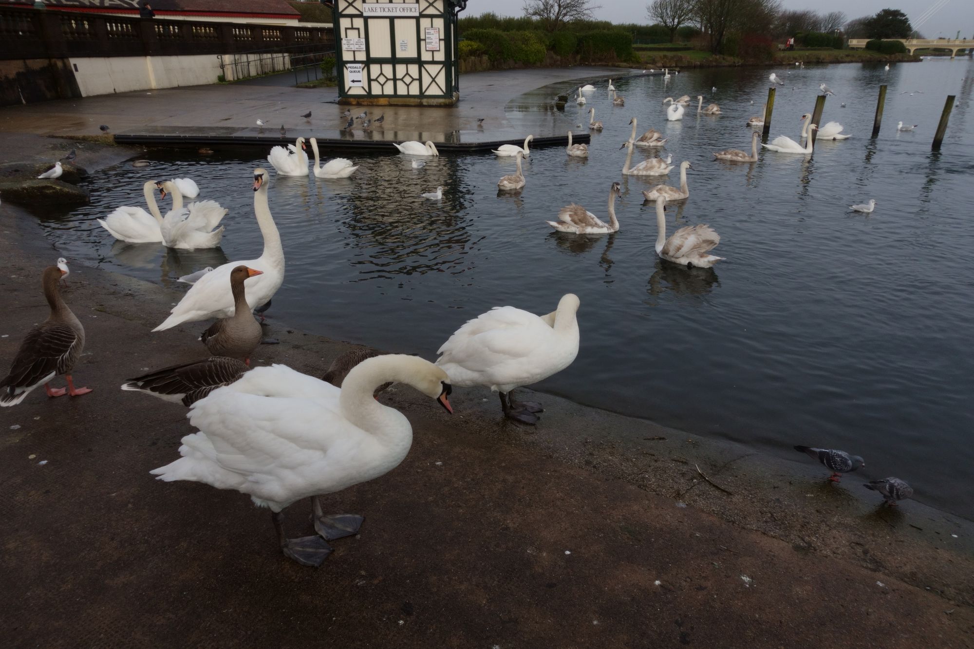 Scene By You Southport - March 11: Pictures of West Lancashire captured by local photographers