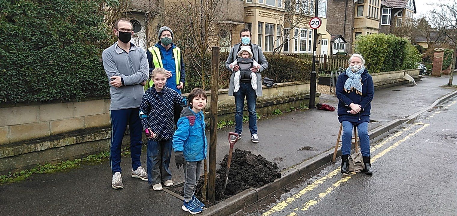 A Bath resident has planted more than 40 trees for locals to enjoy