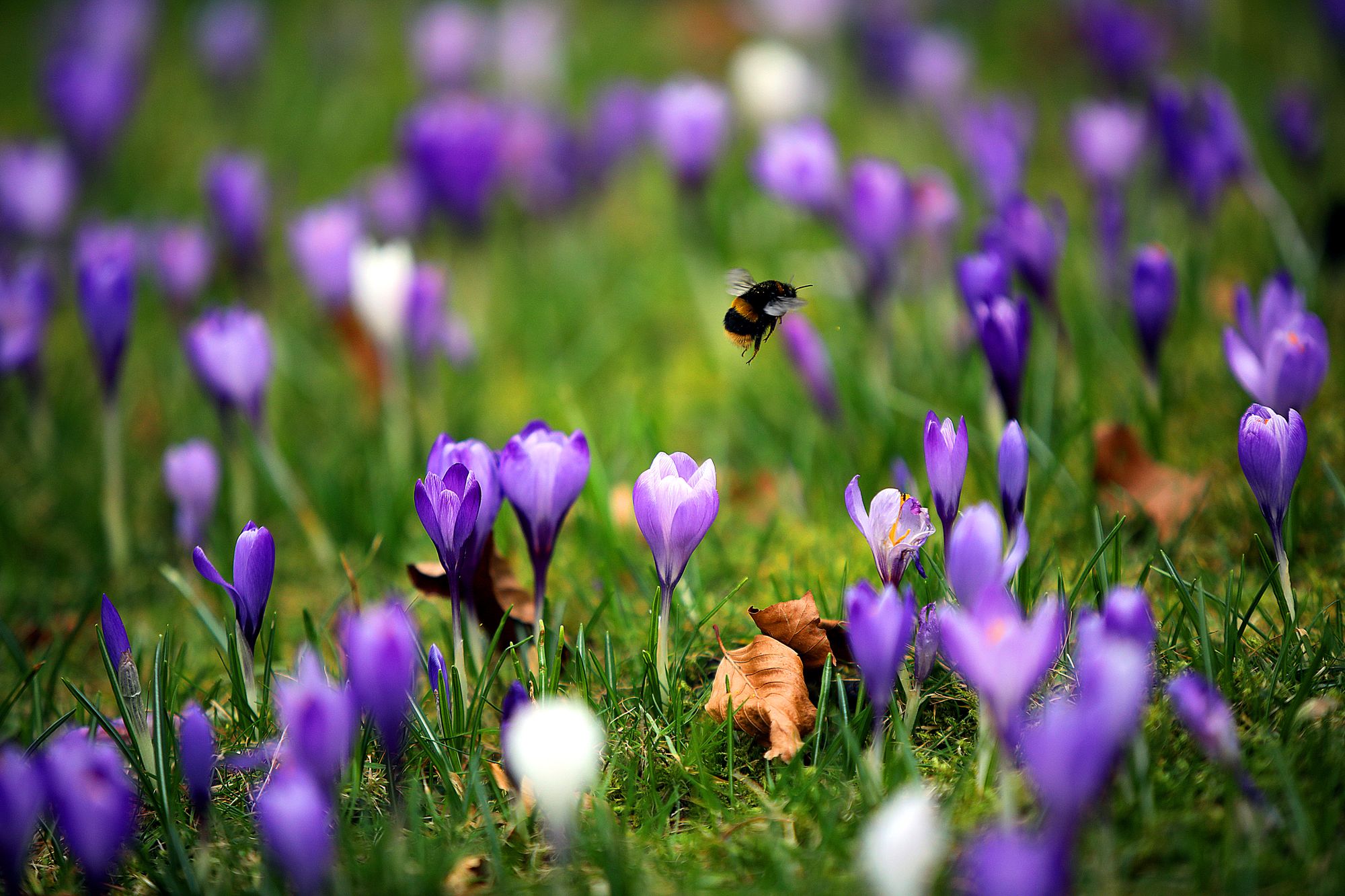 Your special East Kilbride News Mother's Day messages