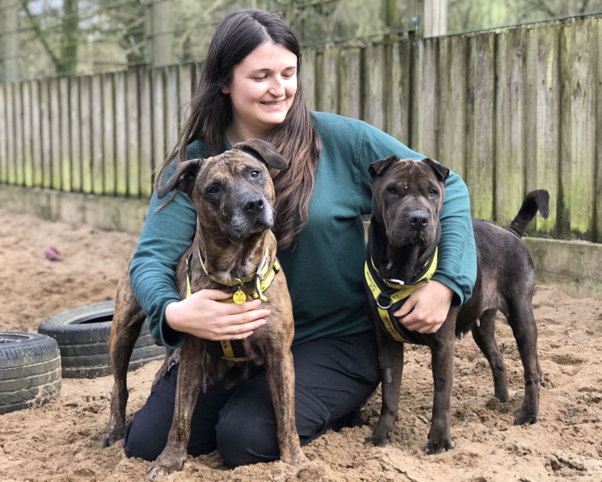 Pet owners urged to help 'Change the Tale' for dogs in Devon