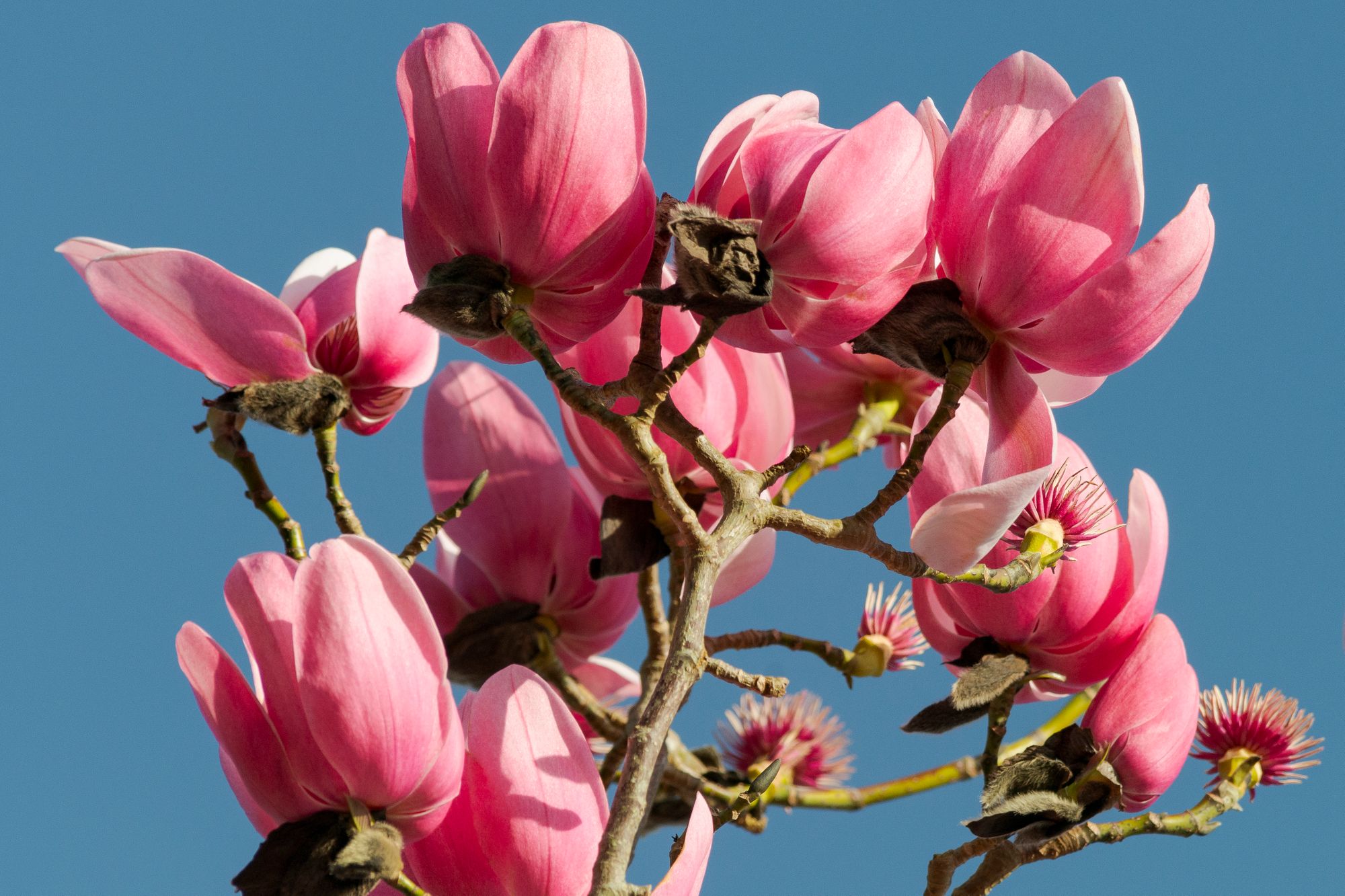 It's official Spring has sprung in Cornwall