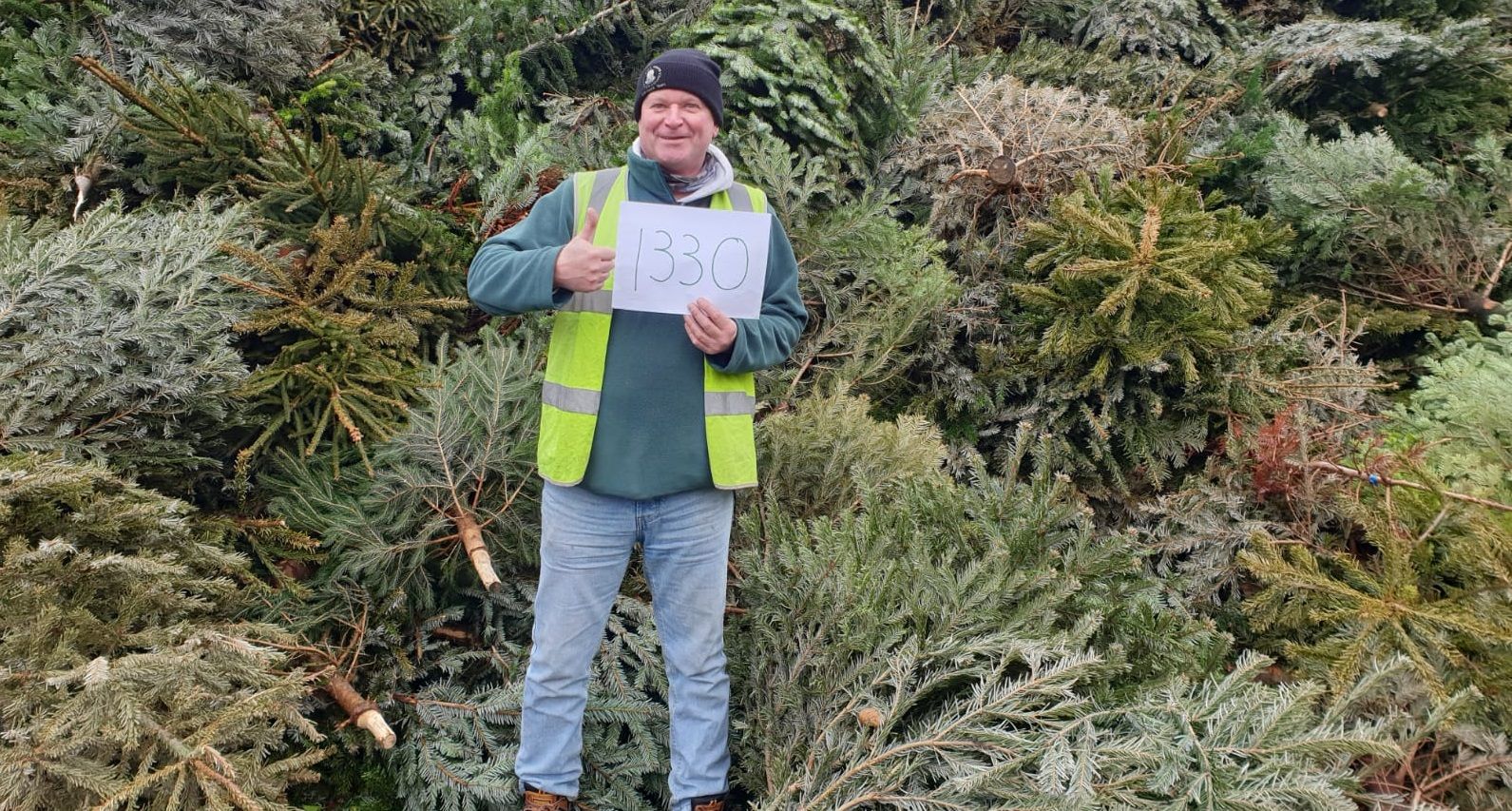 More than 1,300 Christmas trees recycled by Surrey Heath Borough
