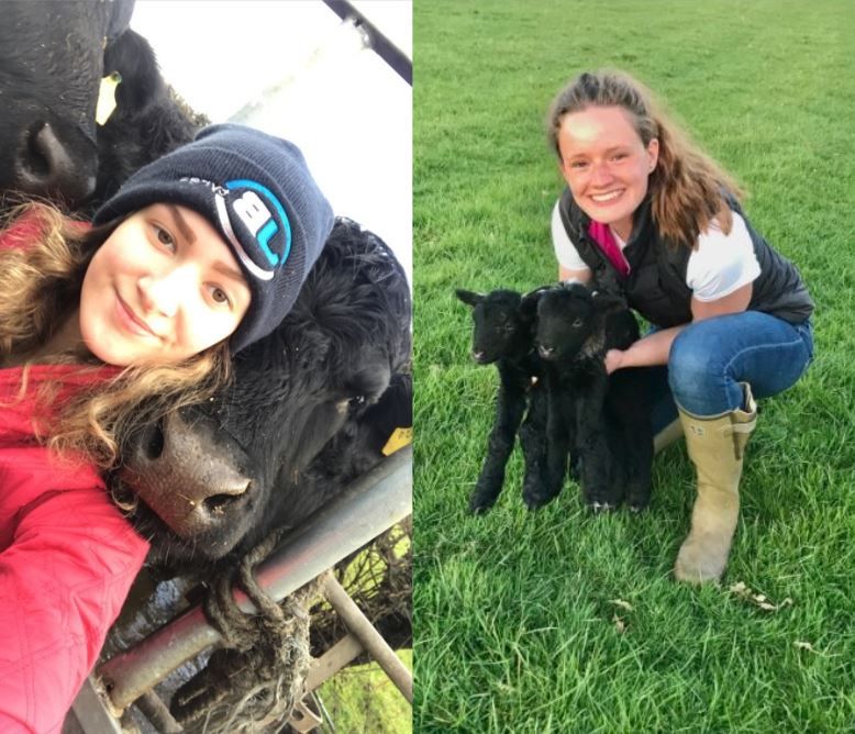 Students win Farm Health Management Awards