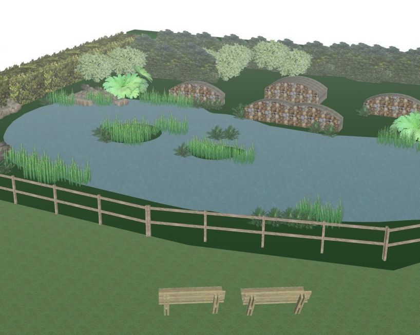 Additional funds made available for Uffculme pond regeneration