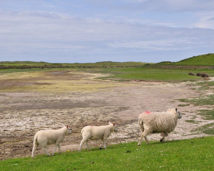 Explore Northam Burrows with a season ticket
