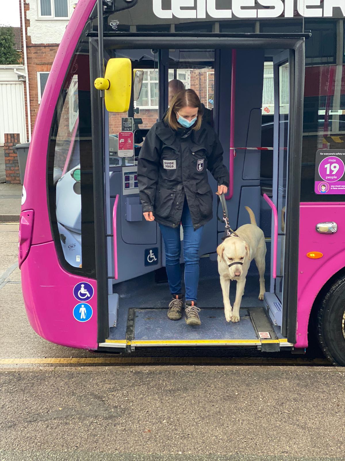 Leicester guide dogs to restart training thanks to local support
