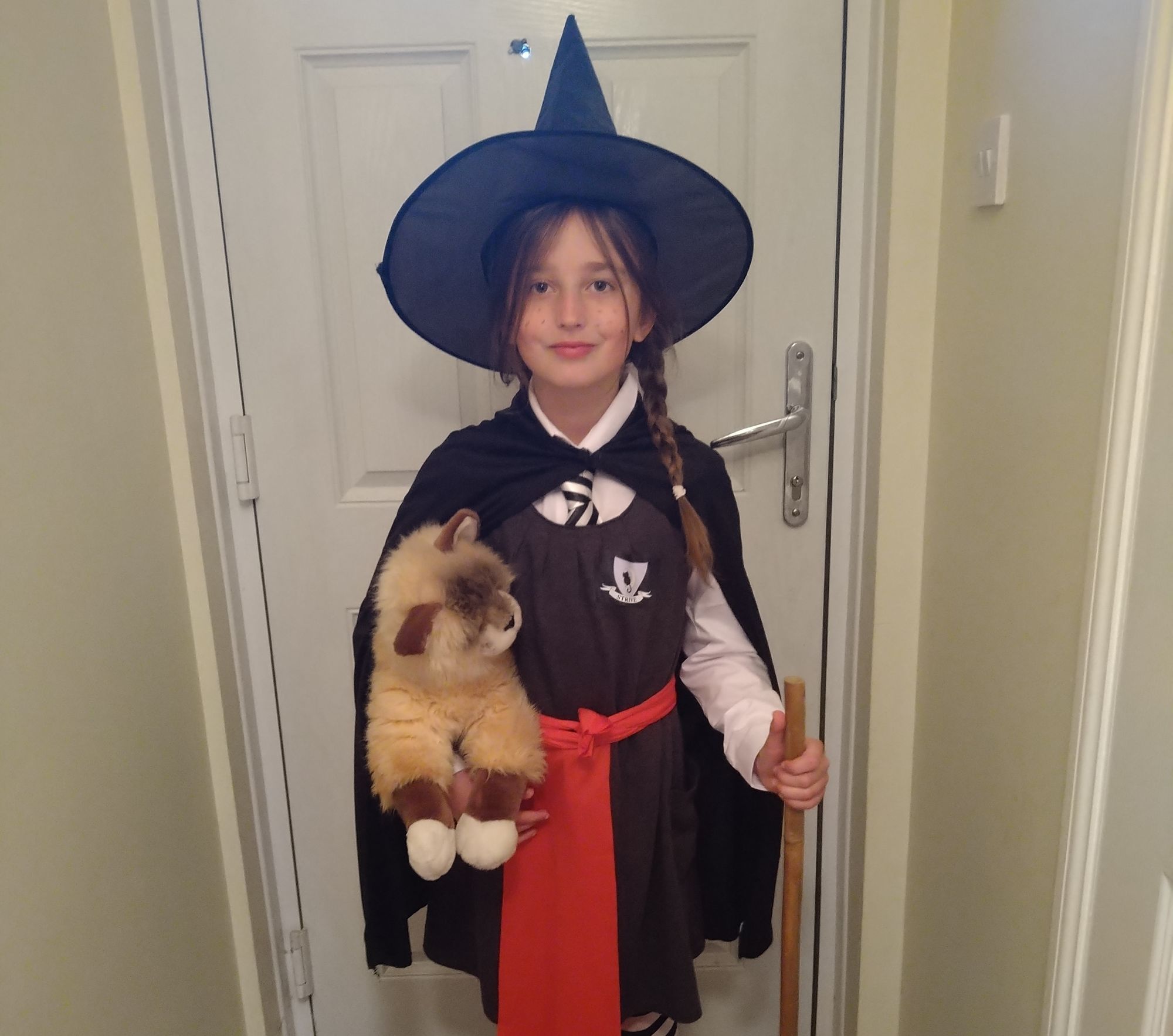 World Book Day special: Your favourite book characters from across Hampshire