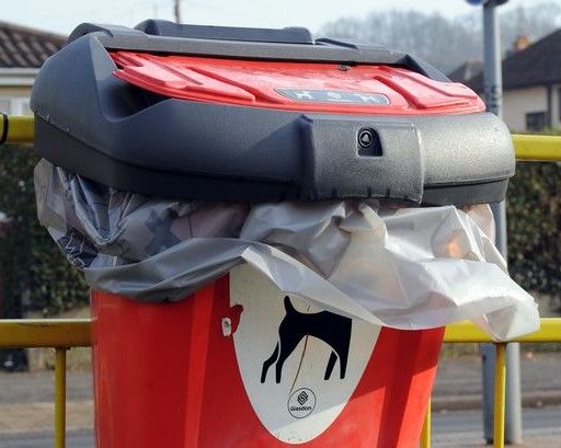 Dog poo bins 'working well' in Witheridge