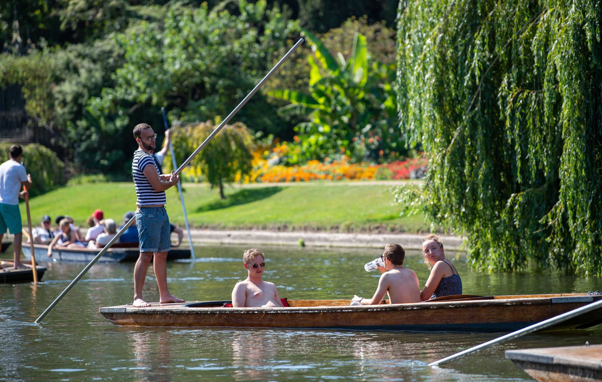 Recent UK summer droughts are worse than anything in the past 2,000 years, find Cambridge scientists