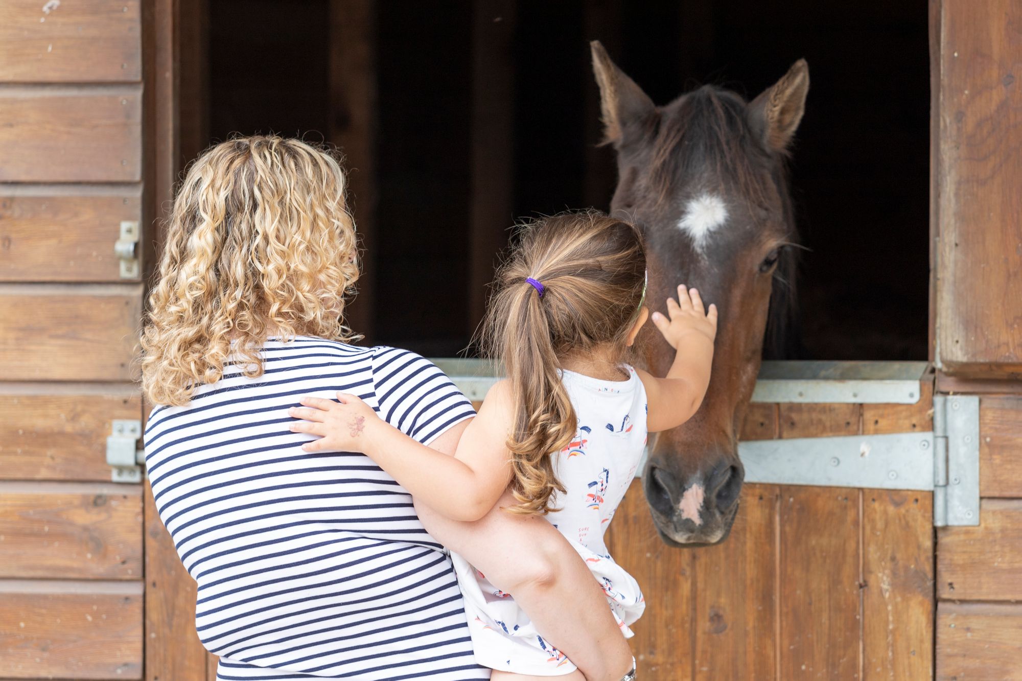 Hopefield Animal Sanctuary announces reopening date