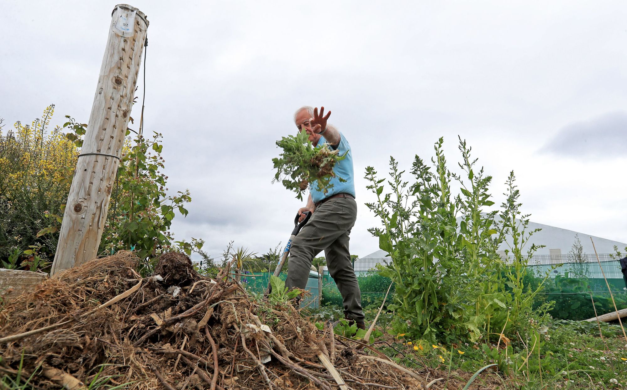 Berkshire charity digs into new communal allotment project to boost mental health