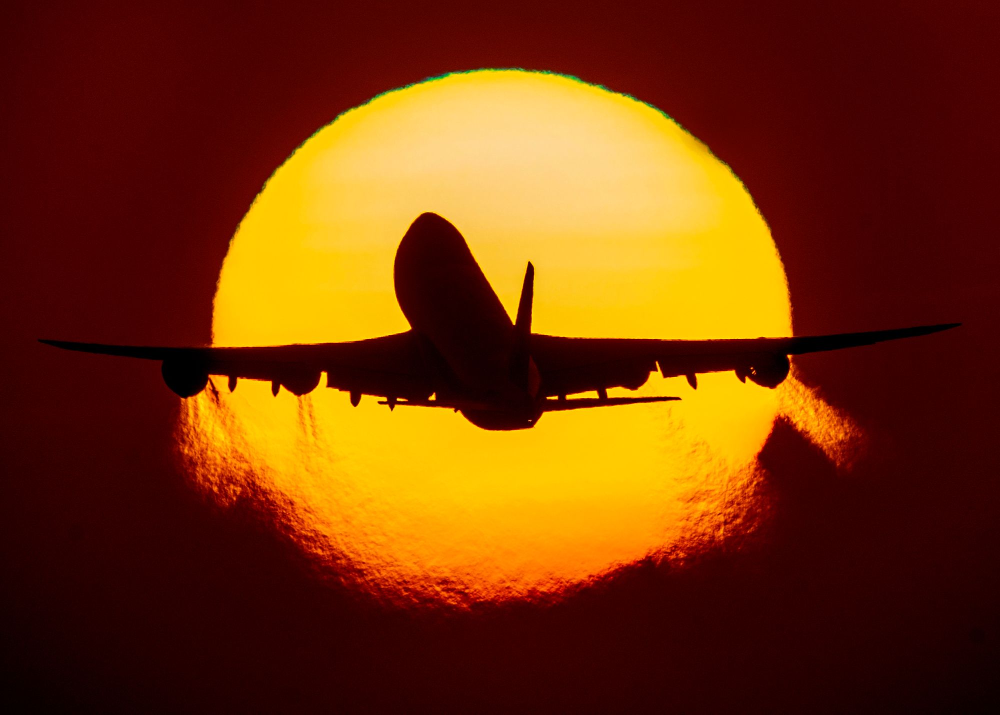 Passengers must complete Covid-19 international travel form from Monday