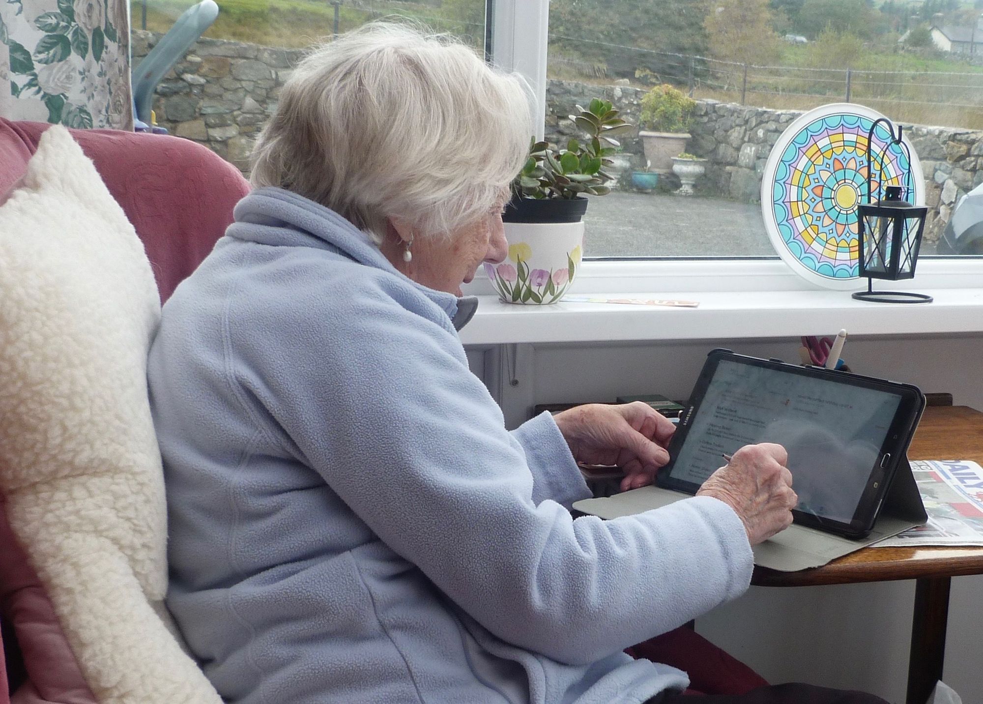 St David's Day launch for new Gwynedd service to combat loneliness