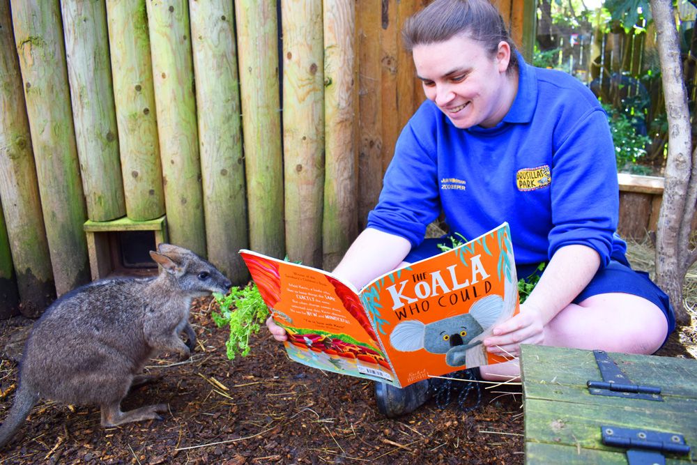 Talking to the animals on World Book day