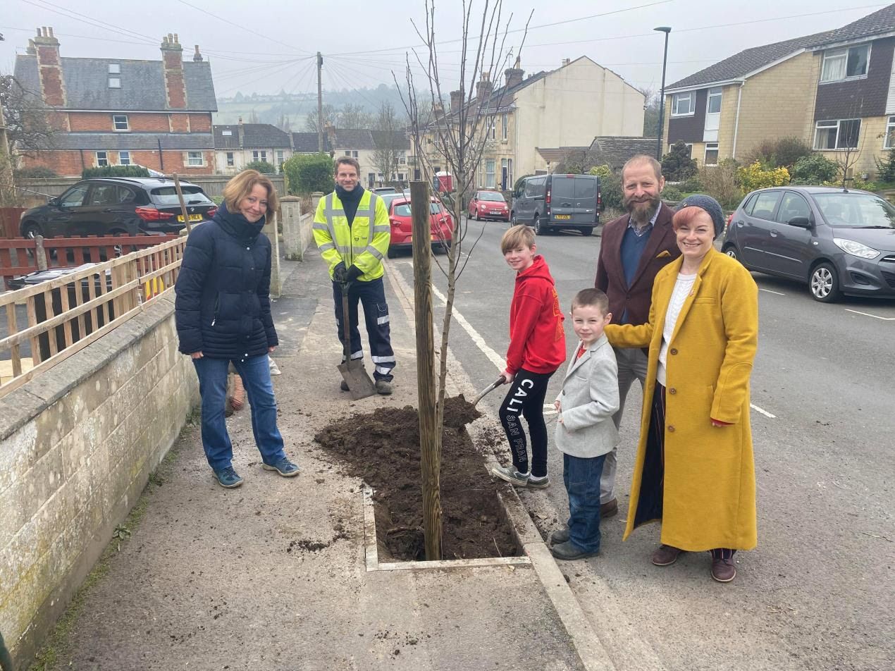 More than 1,700 trees planted in BANES in two weeks