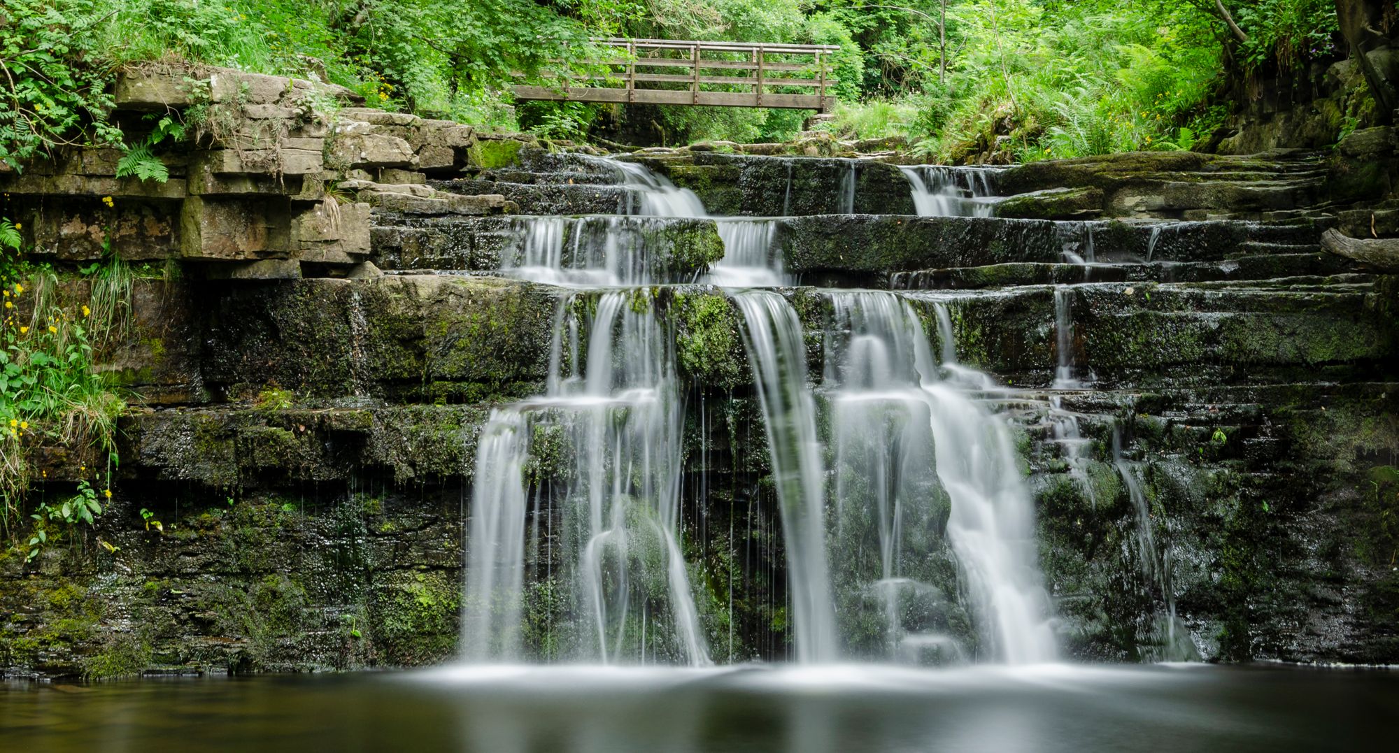 Your View: Spring arrives in the North East