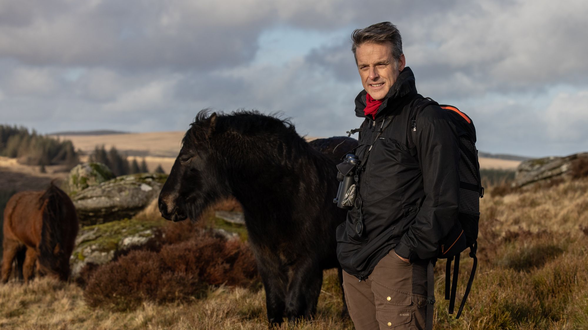 TV nature expert Nick Baker is new champion of Dartmoor ponies