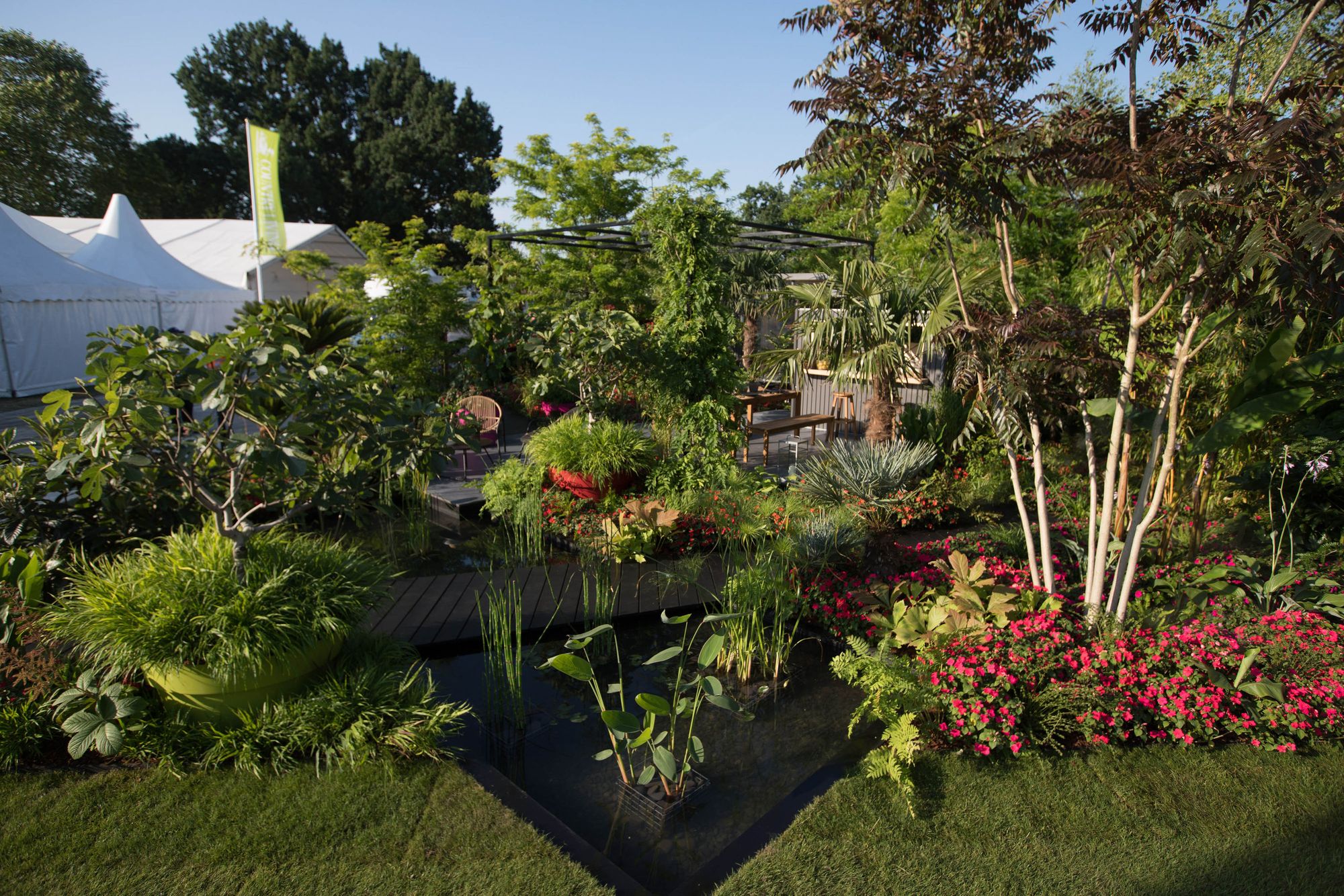 Summer flower shows to go ahead this year, announces Royal Horticultural Society