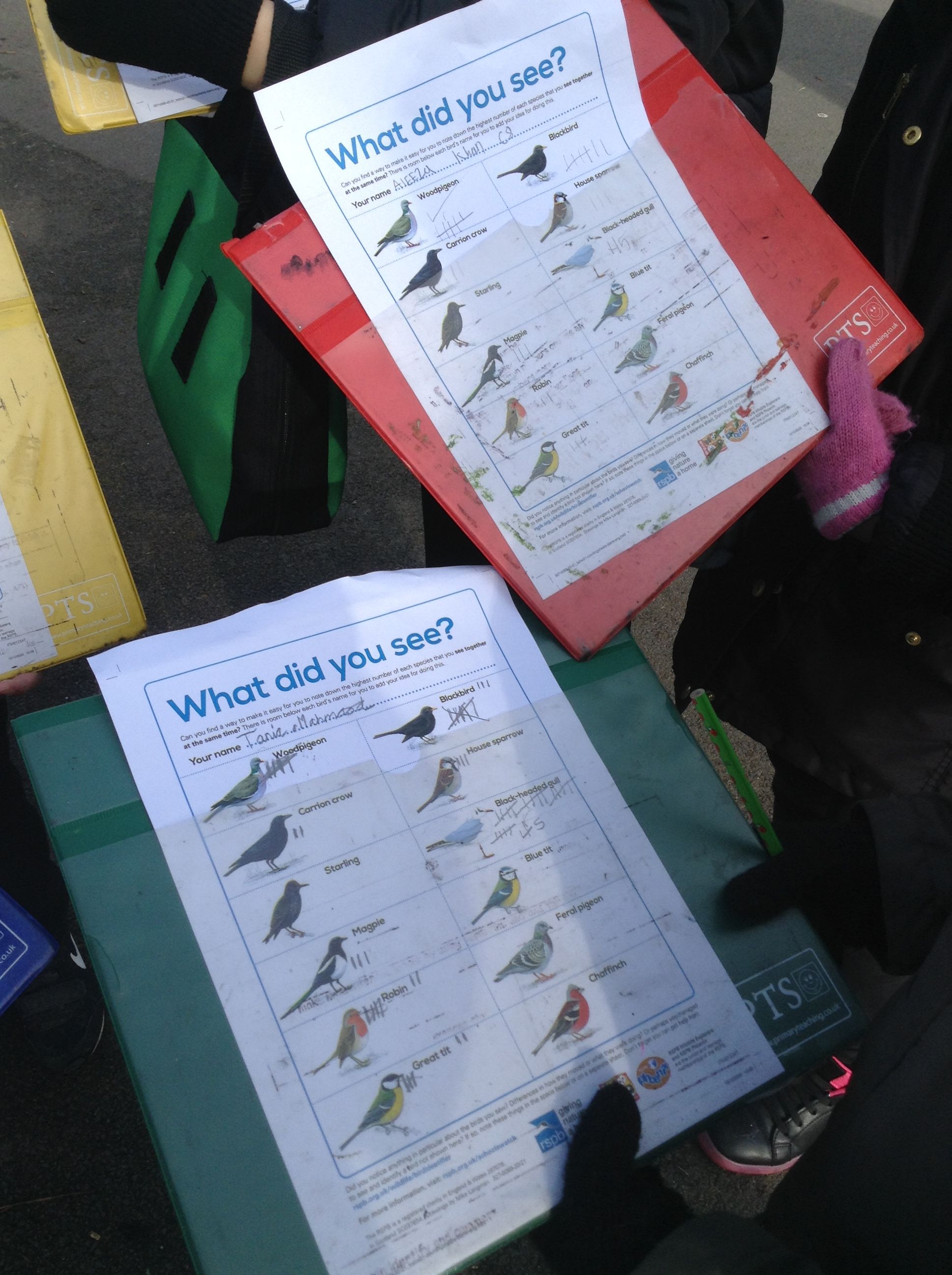 Oldham pupils take part in RSPB garden birdwatch
