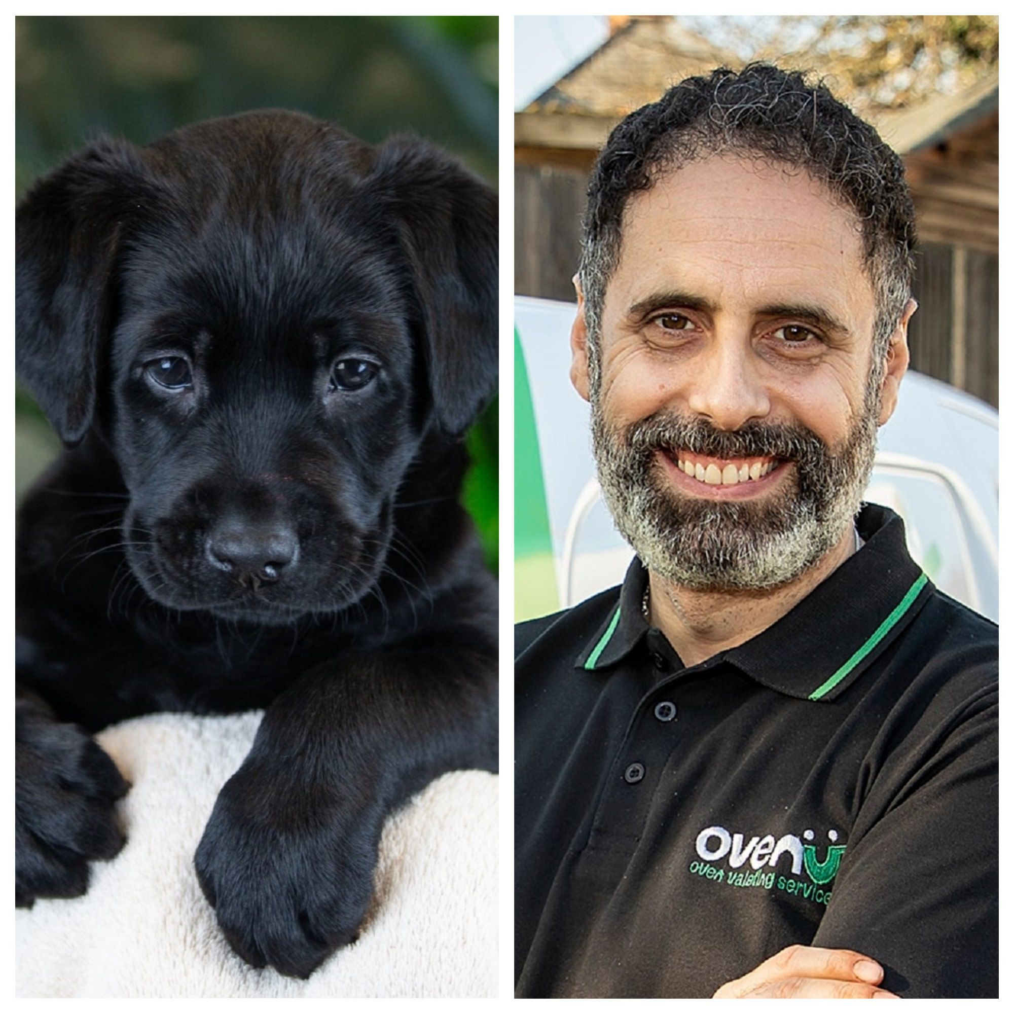 Cheshunt business owner sponsors adorable Guide Dogs pup Selsey