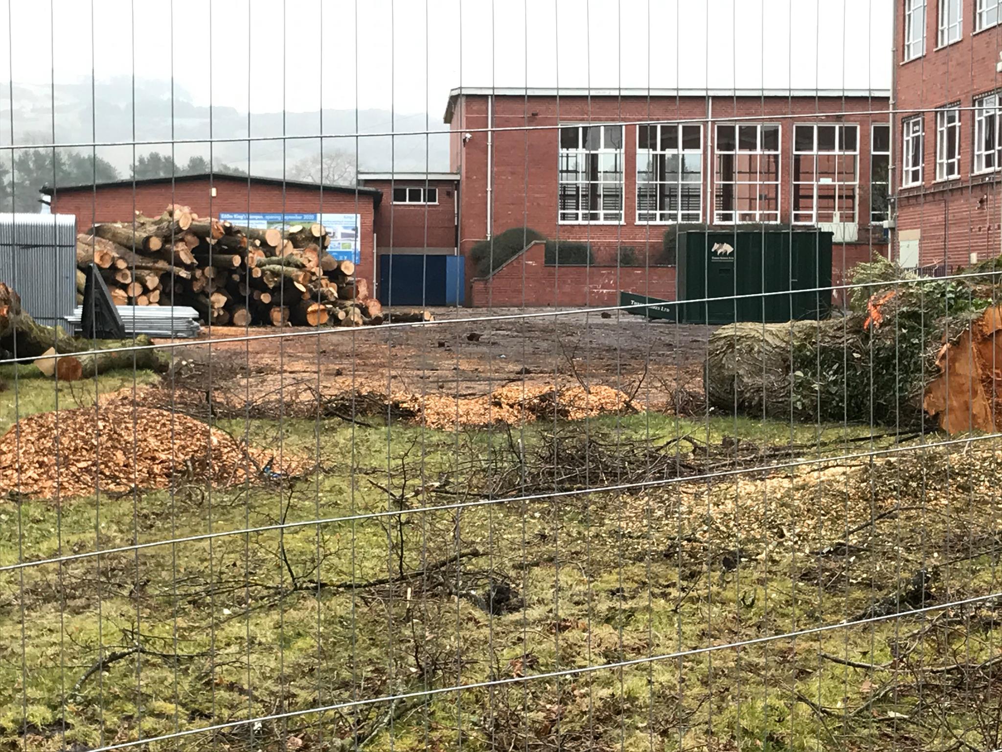Anger as trees chopped down to make way for new homes