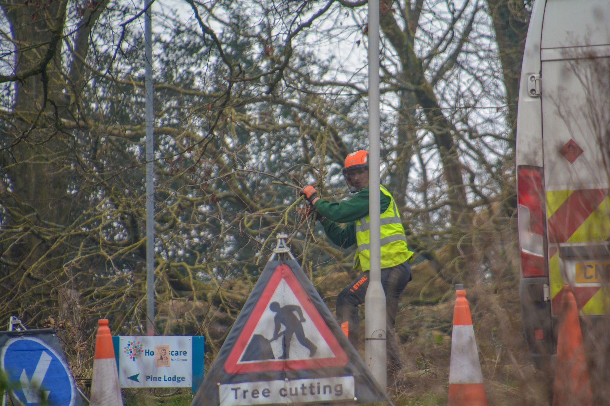 Fury after ancient trees are chopped down at Tiverton housing development