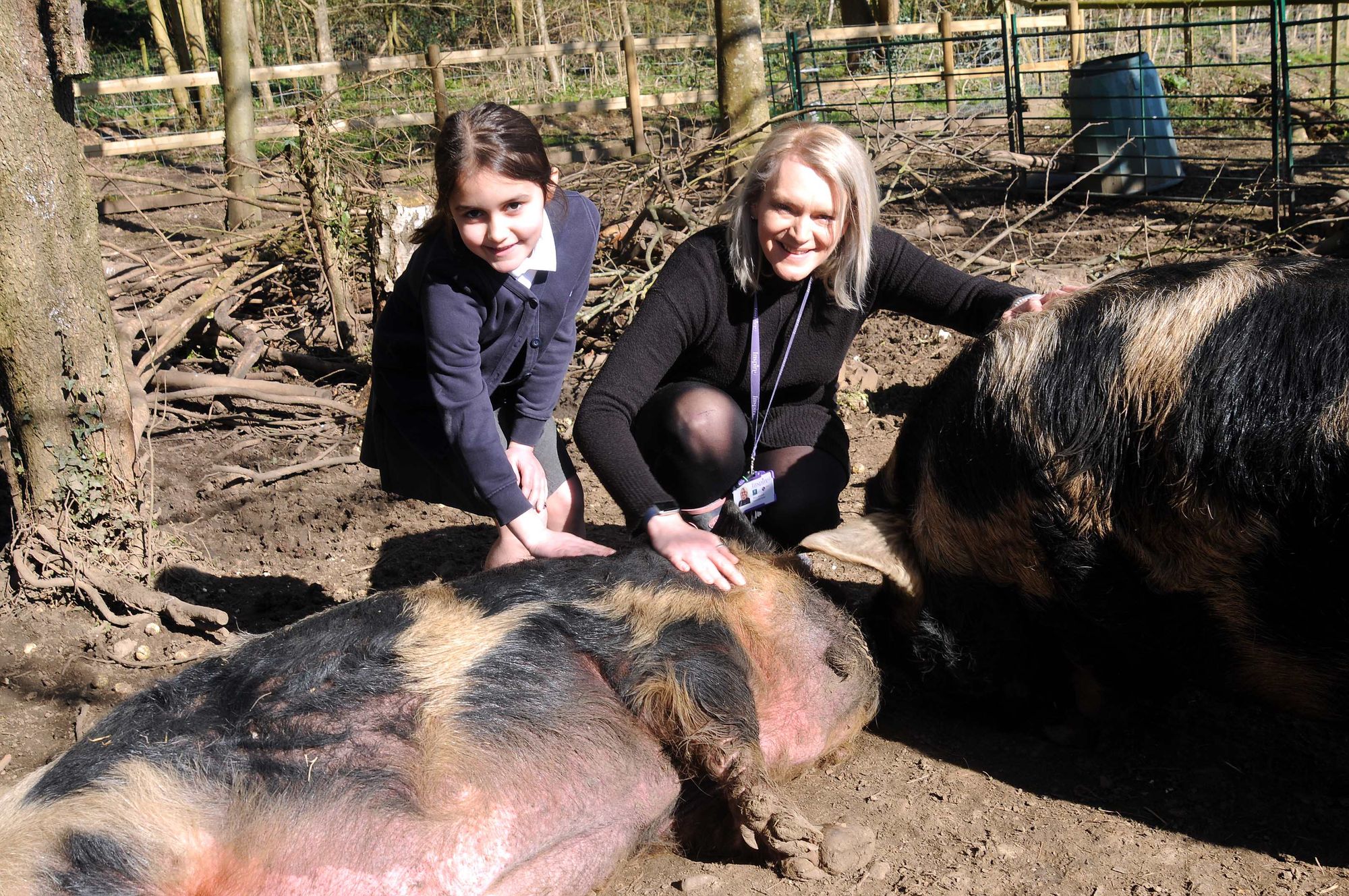 The school farm bringing joy back to the lockdown children of Seal
