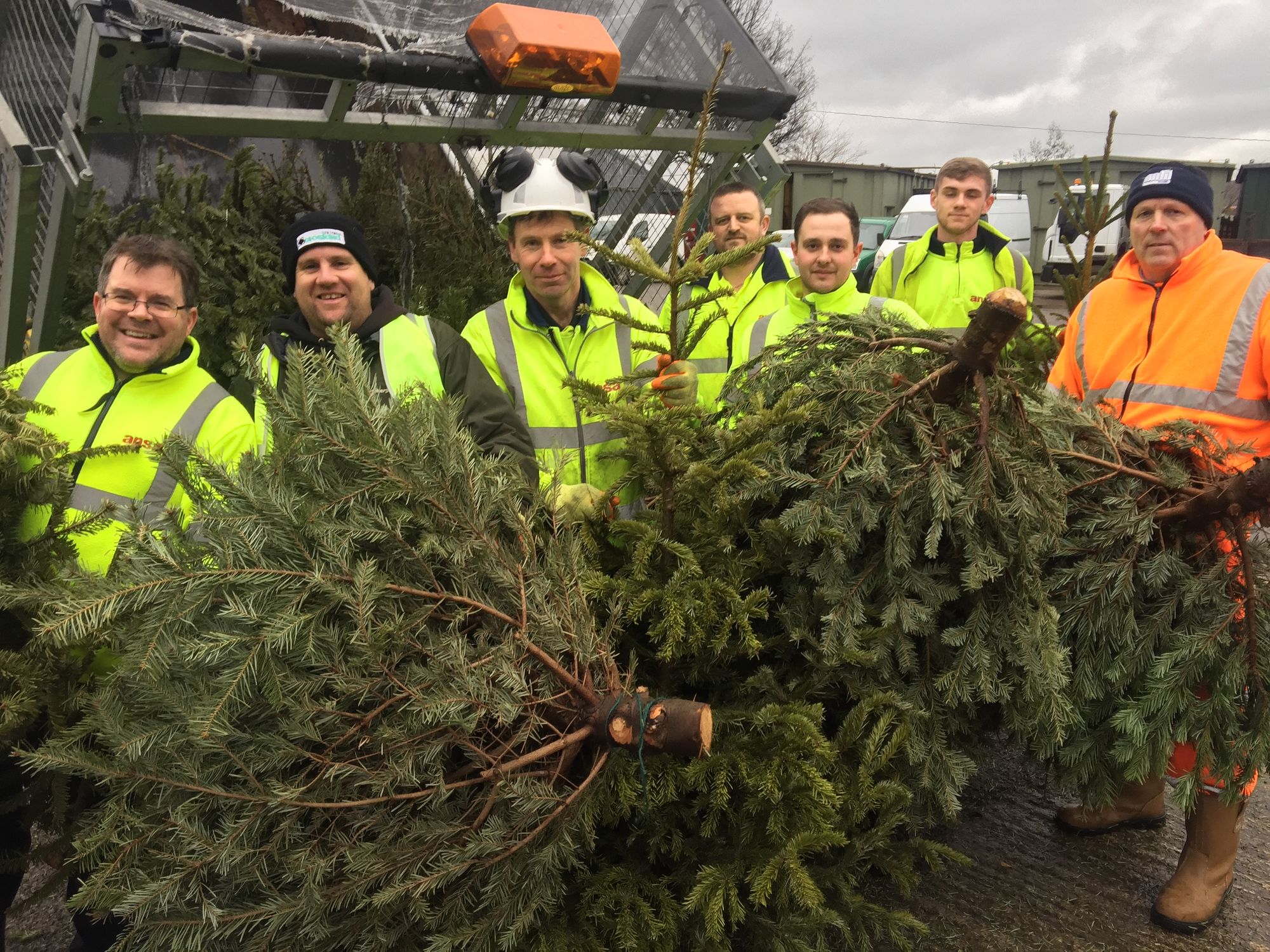 Do you still have a Christmas tree that needs collecting?