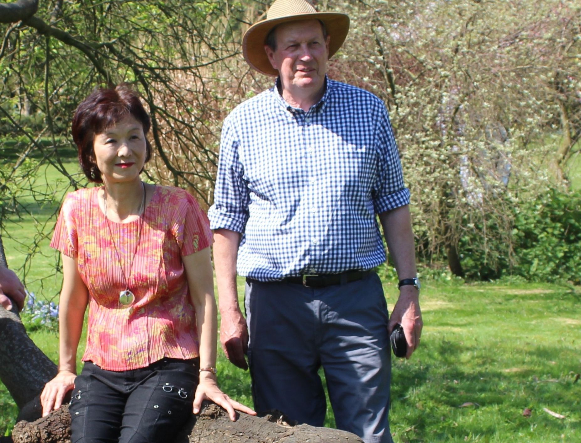 Cranbrook charity to stage virtual cherry blossom event