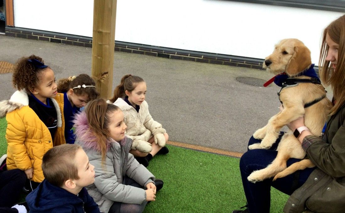 Puppy power helps pupils settle in at Ramsgate school