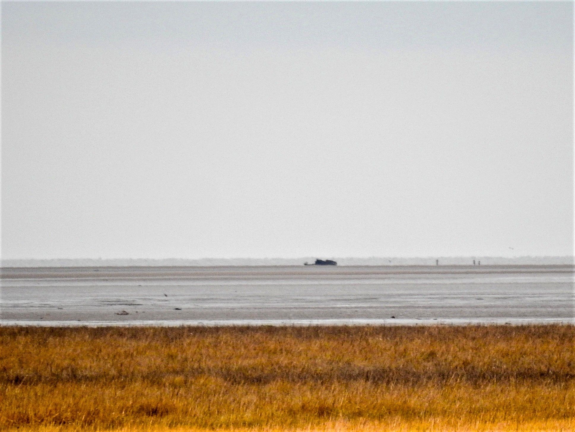 Sefton Coast column: Shipwrecks and protecting wildlife in Southport