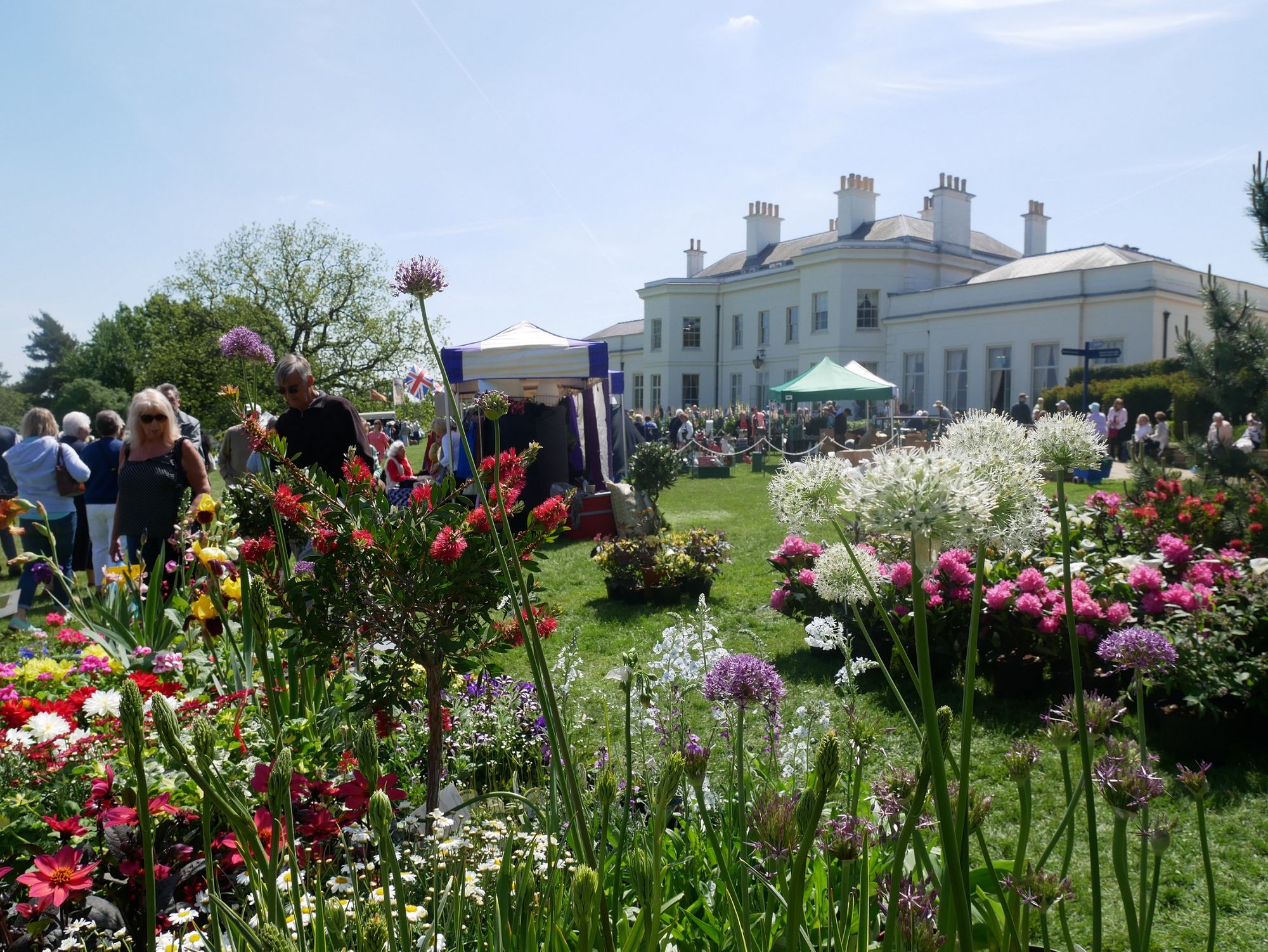 Flower show and dog festival confirm Chelmsford 2021 plans