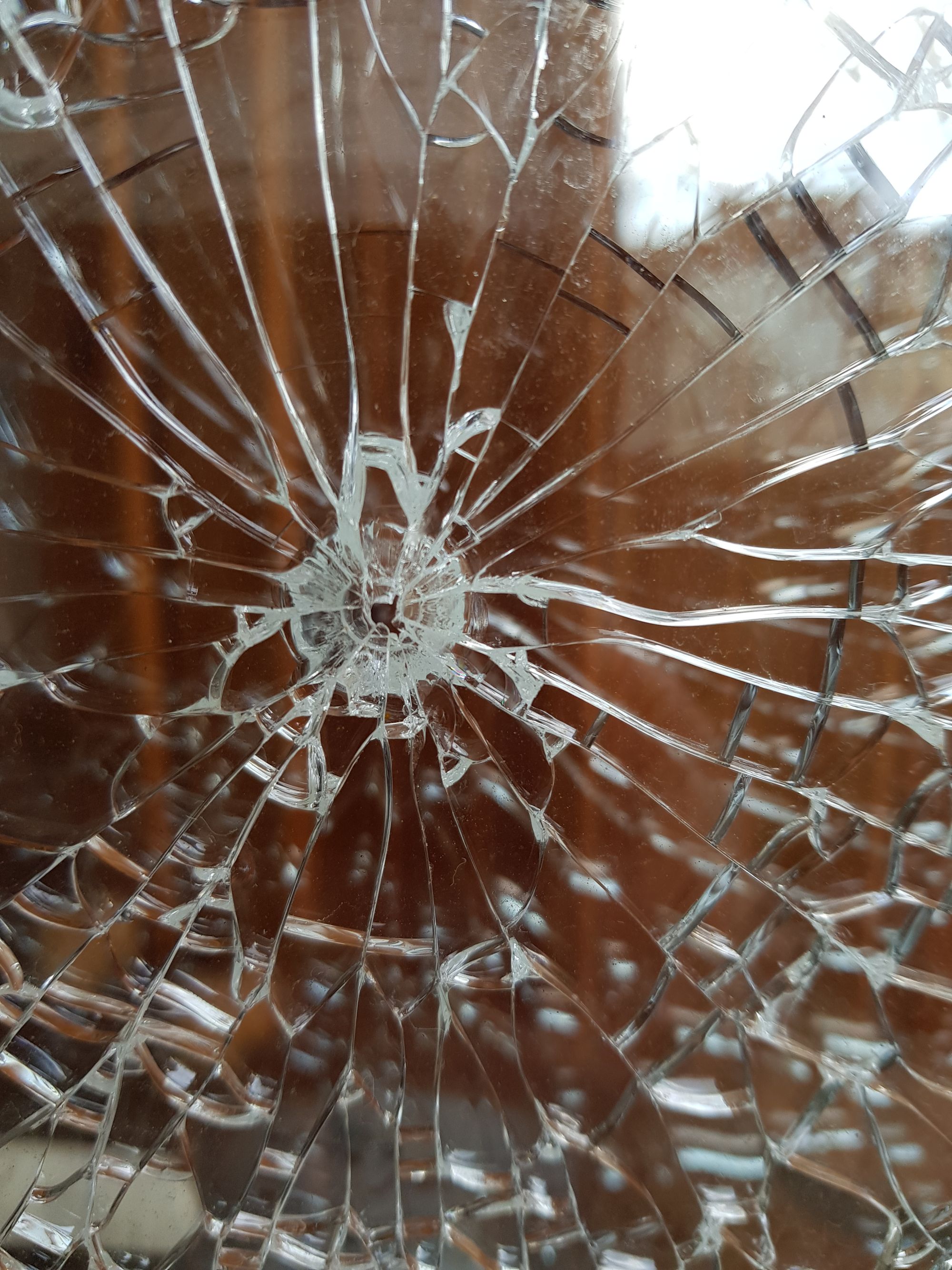 Folkestone resident 'afraid' after homes shot with BB guns