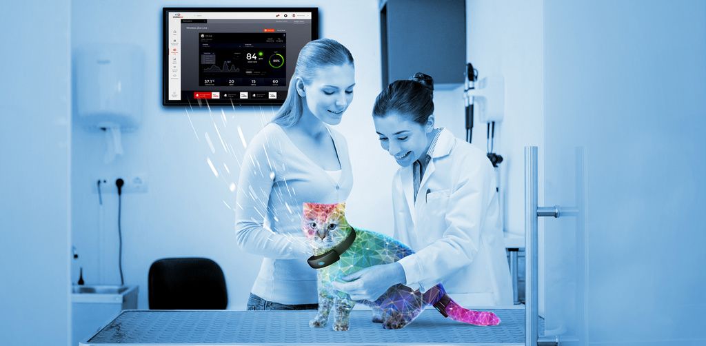 Animal health medical technology company to move global HQ to Cambridge