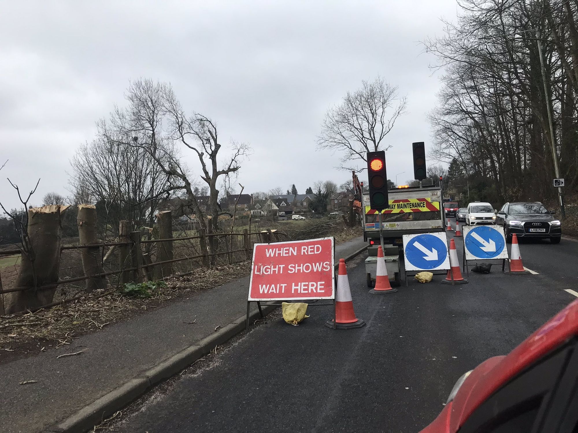 Shock at felling of trees by A26 London Road in Southborough