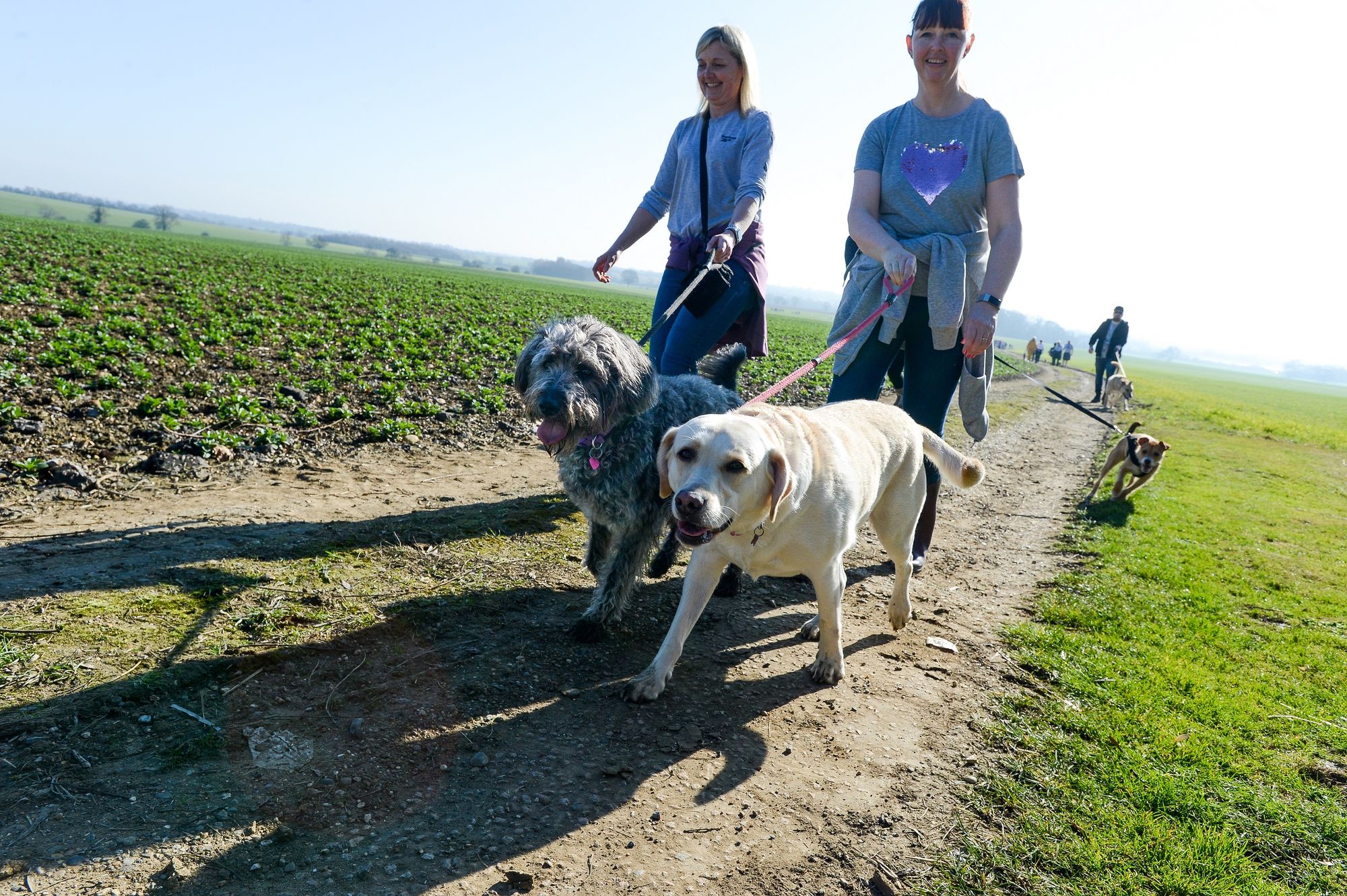 Hastingwood hospice reschedules a less muddy Winter Walkies event for the spring