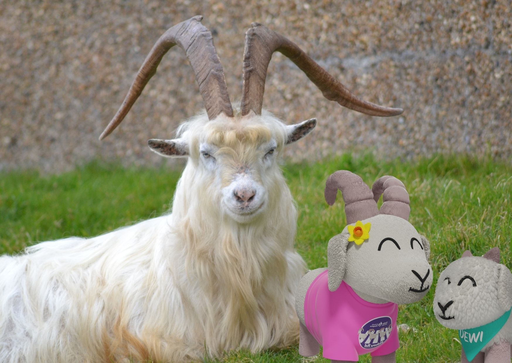 New kid on the block at St David’s Hospice